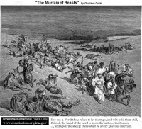 /album/kecskemeti-pal/bexo0902dore-themurrainofbeasts-jpg/